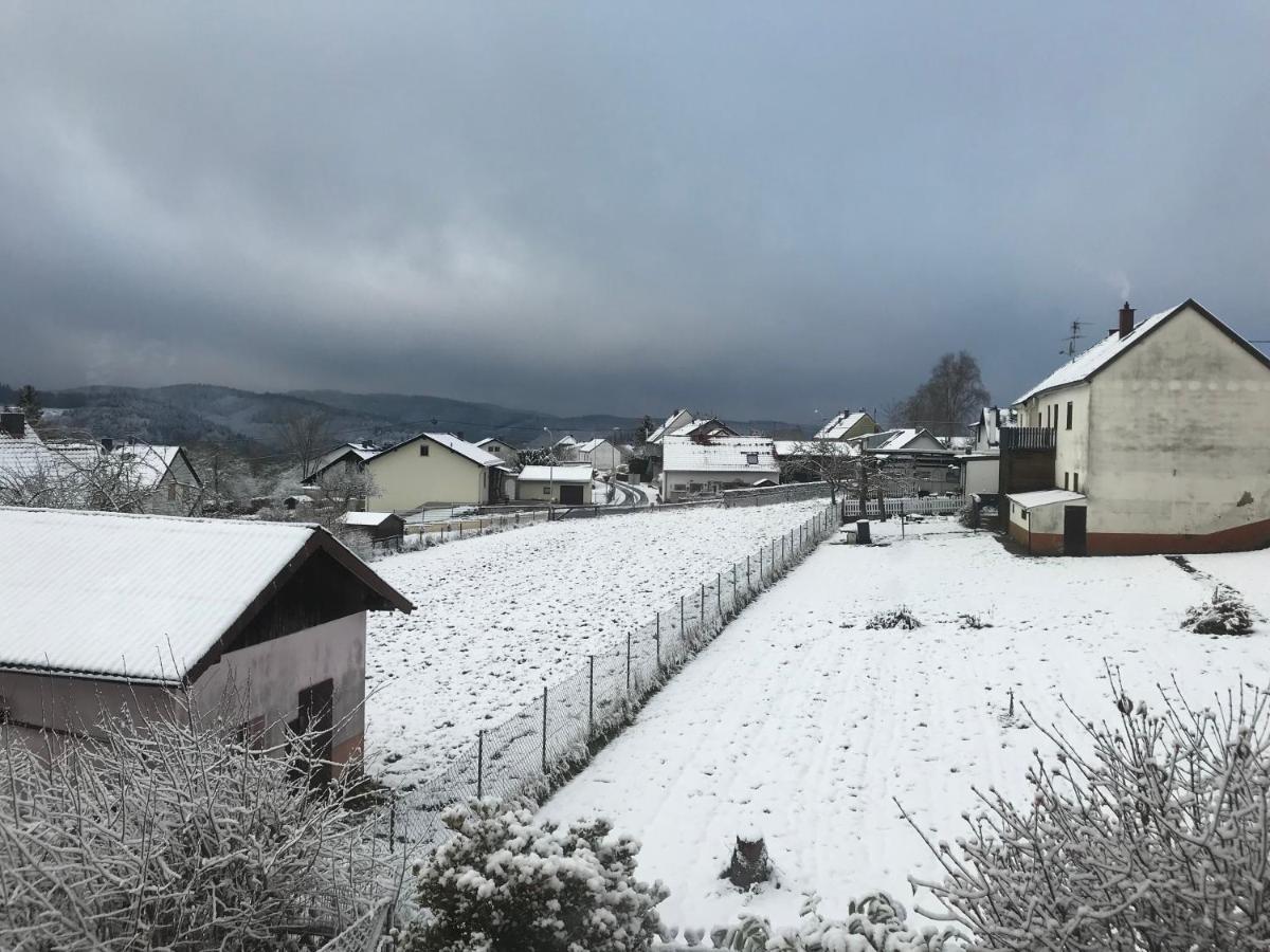 Wohnung Mit Panoramablick Герольштайн Экстерьер фото